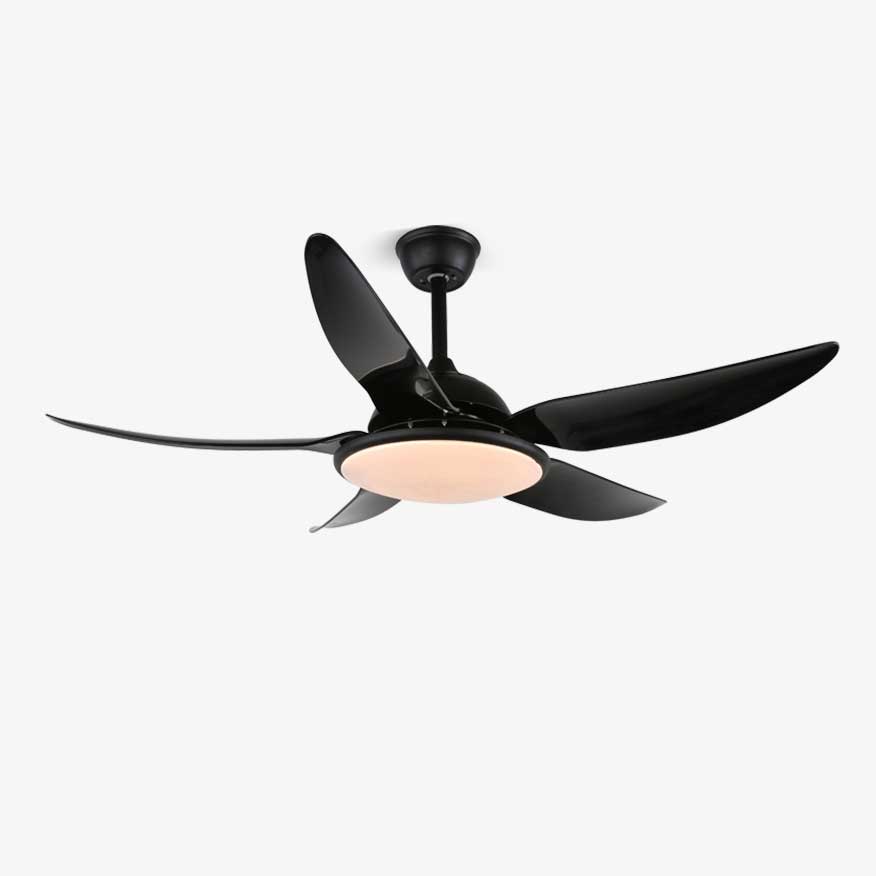 noctura-ceiling-fan-light-anzaz-Black-1
