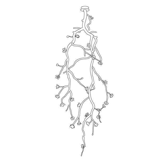 large-long-branch-flower-chandelier-anzaz--10