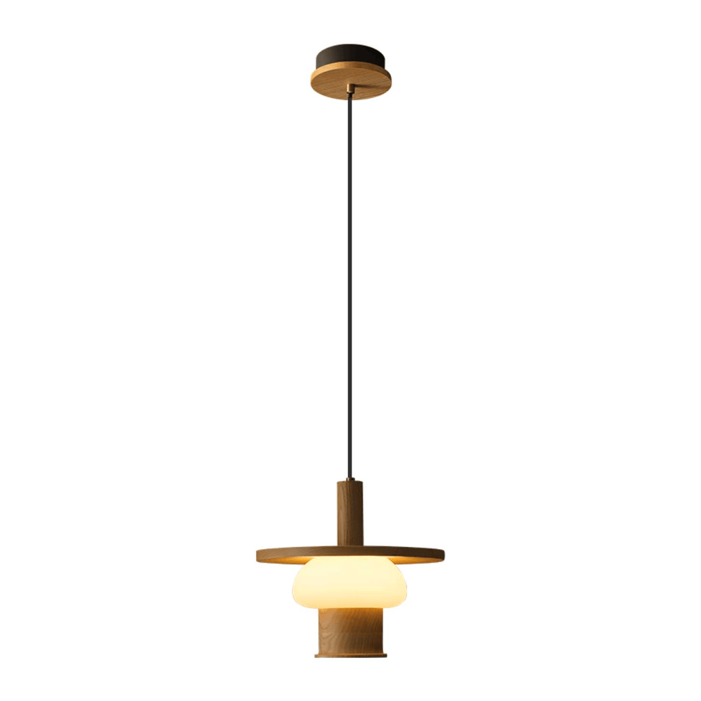 noka-pendant-light-anzaz--29