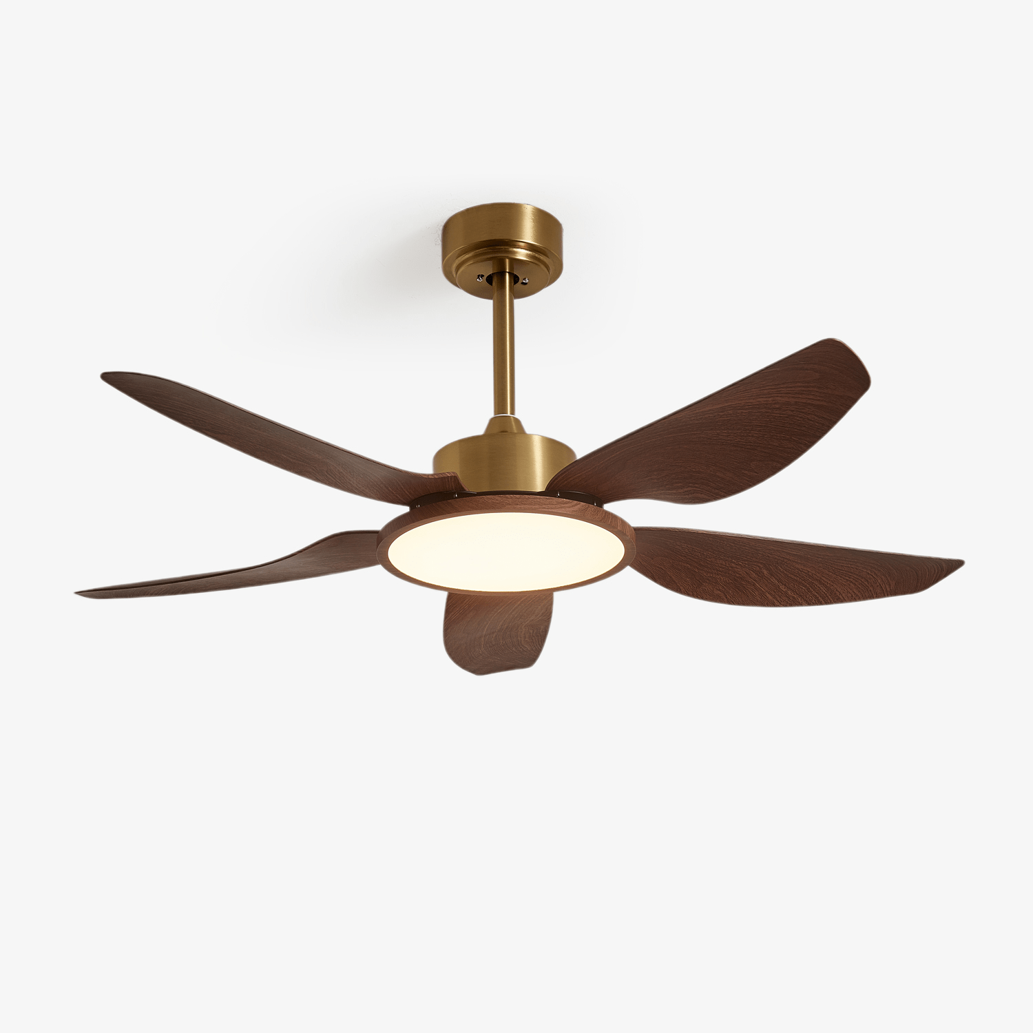 sirocco-breeze-ceiling-fan-light-anzaz-Walnut Color Grain & Gold & White-1