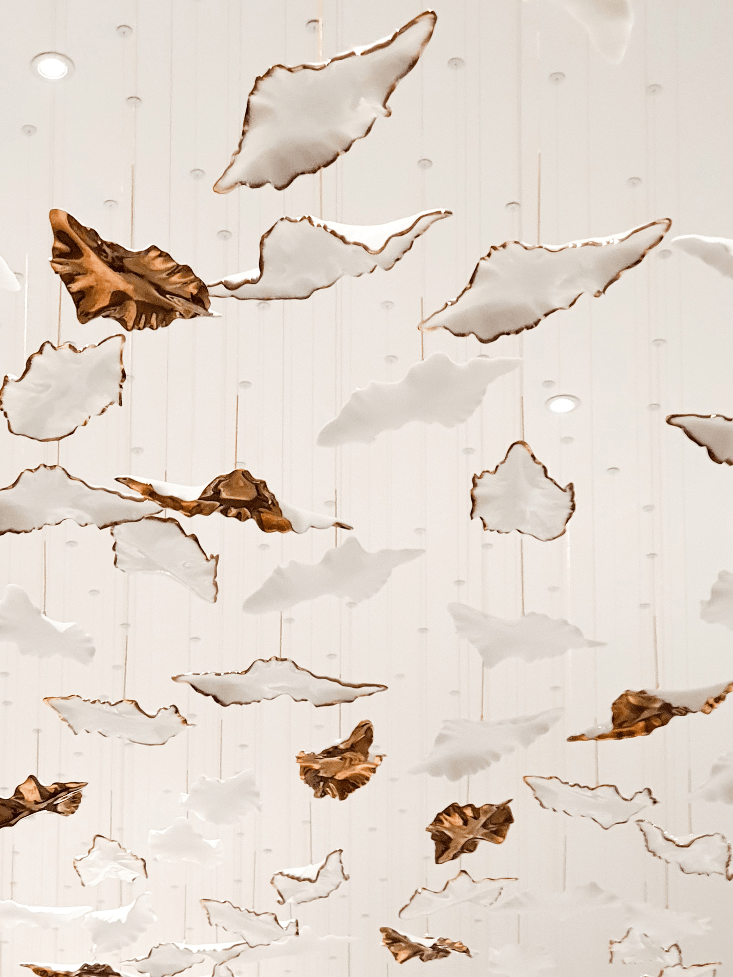 leaf-twisted-sculptural-chandelier-anzaz--16