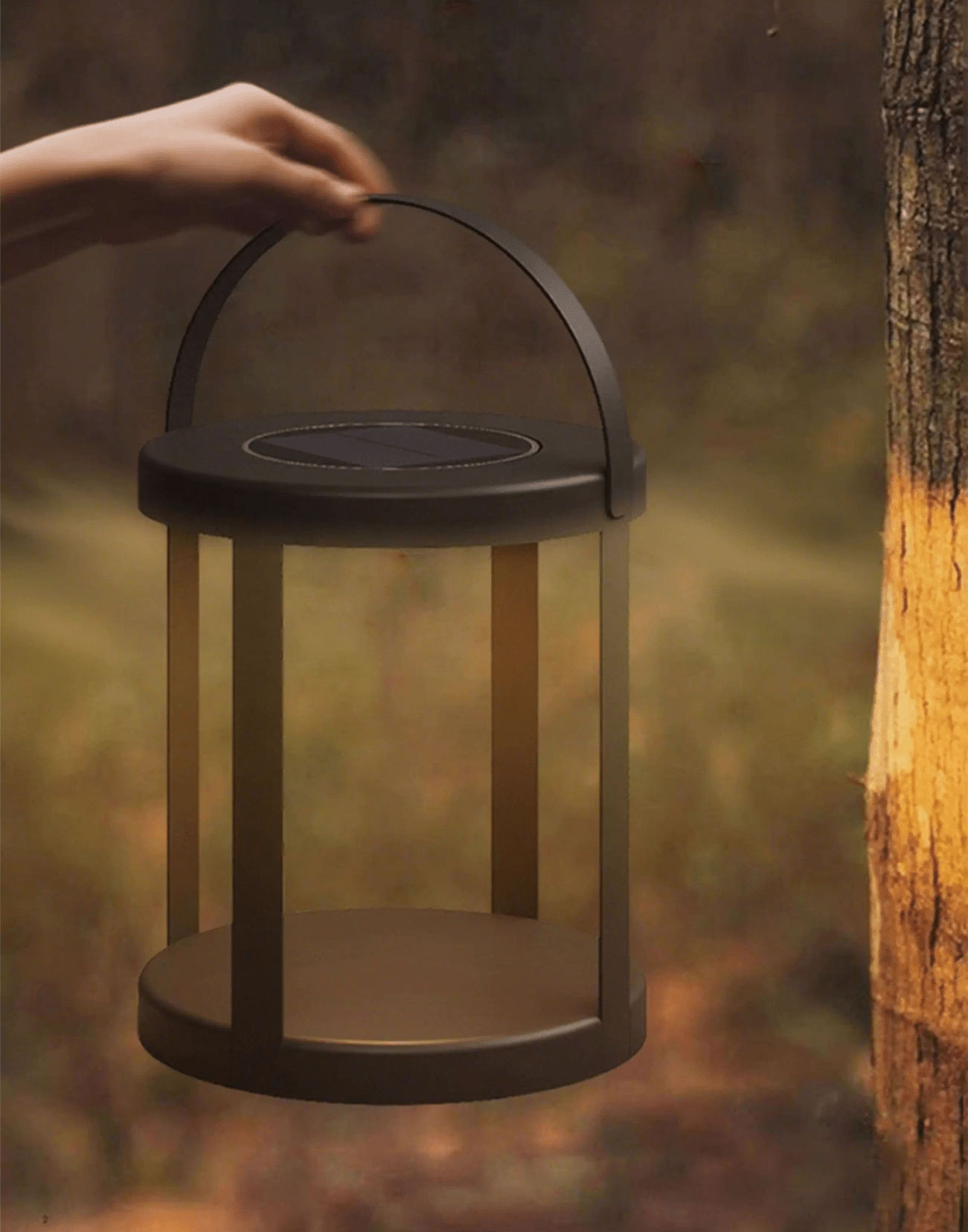 nuvoro-lantern-light-anzaz--16