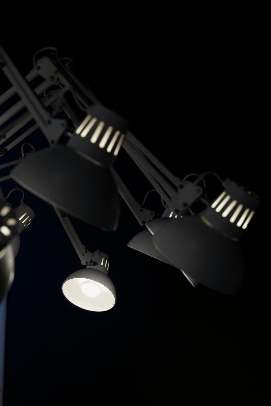 dear-ingo-chandeliers-anzaz--35
