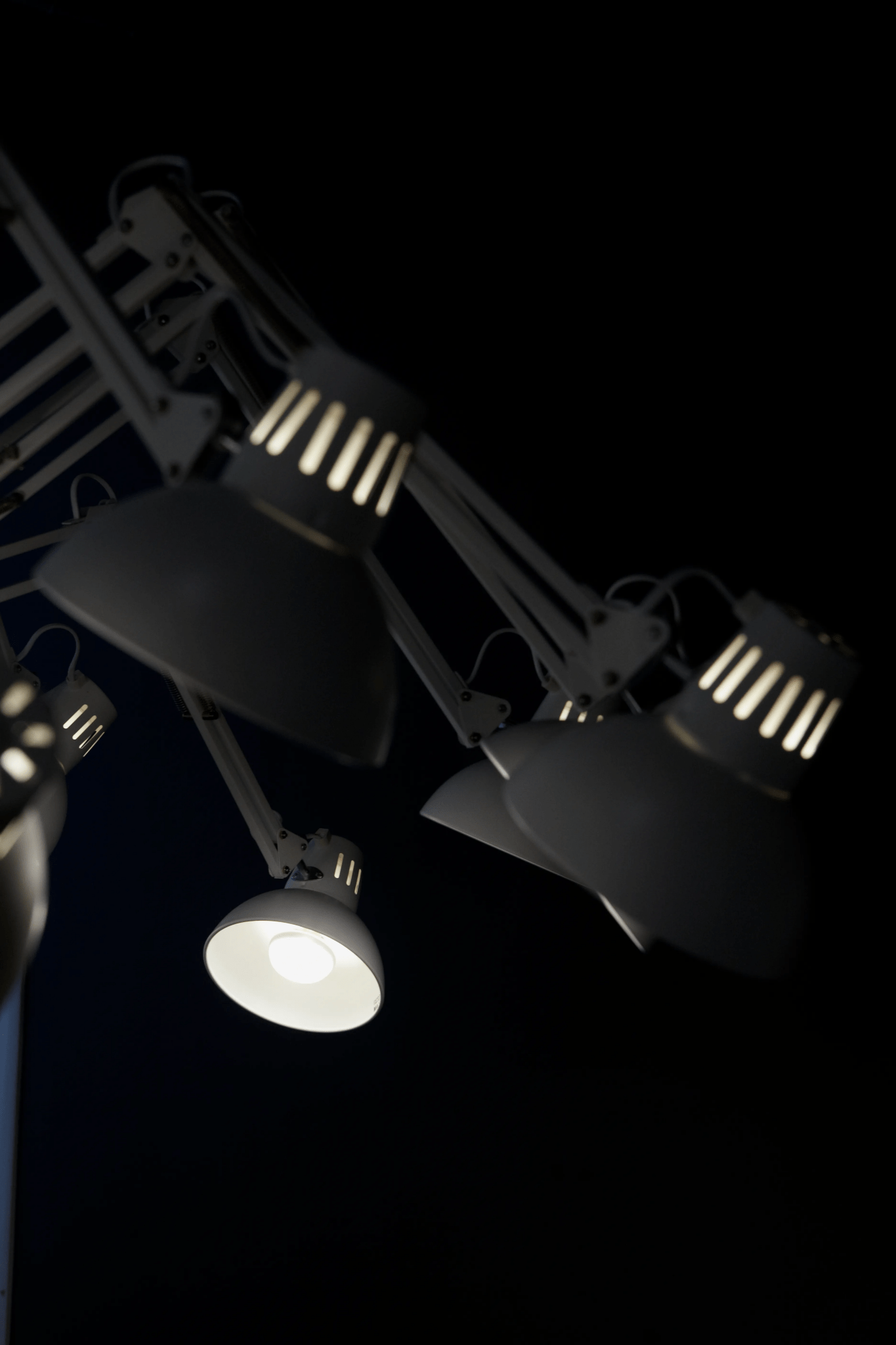 dear-ingo-chandeliers-anzaz--35