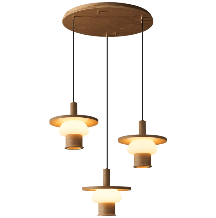 noka-pendant-light-anzaz--34