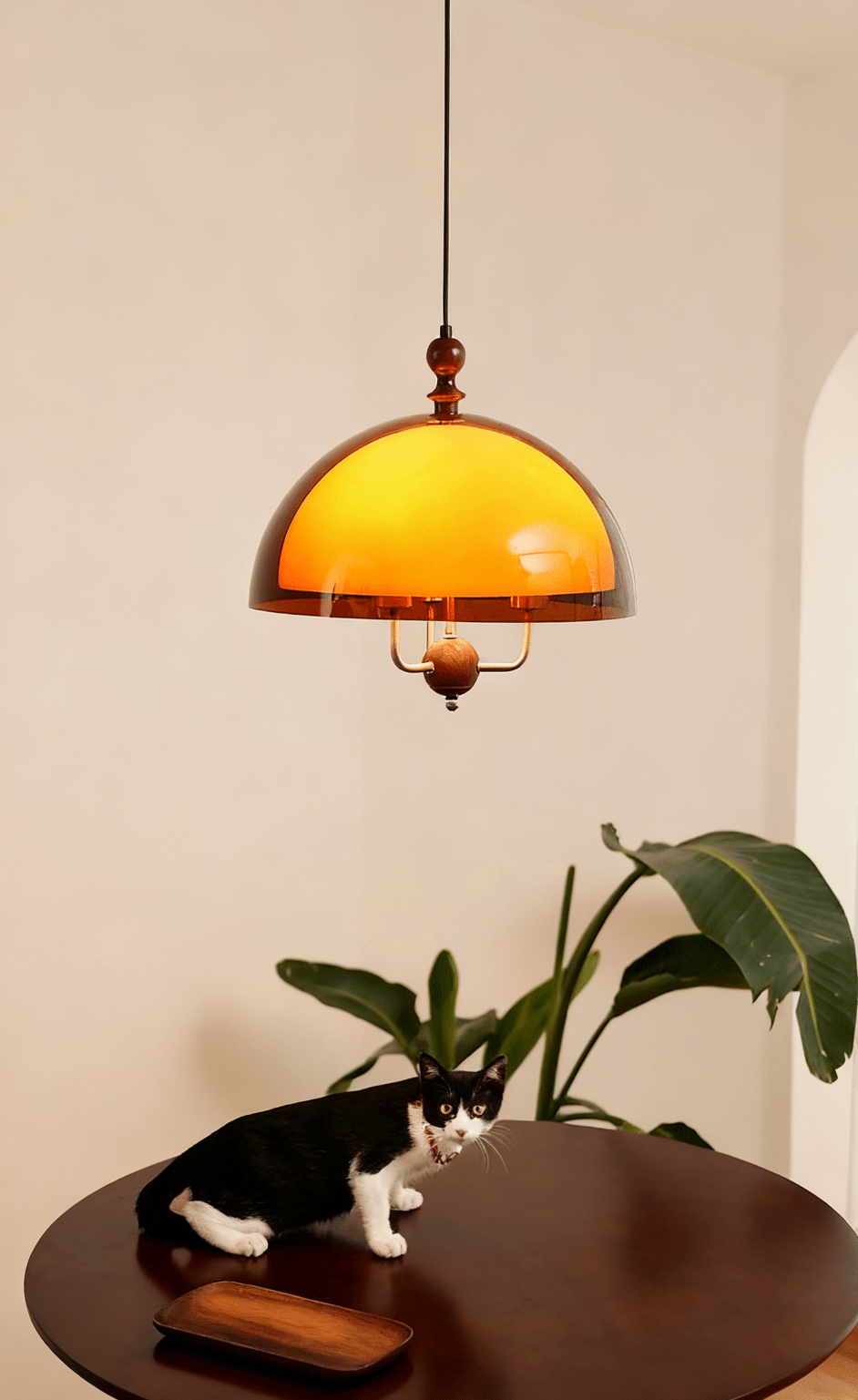 amber-dome-shaped-pendant-light-anzaz--8