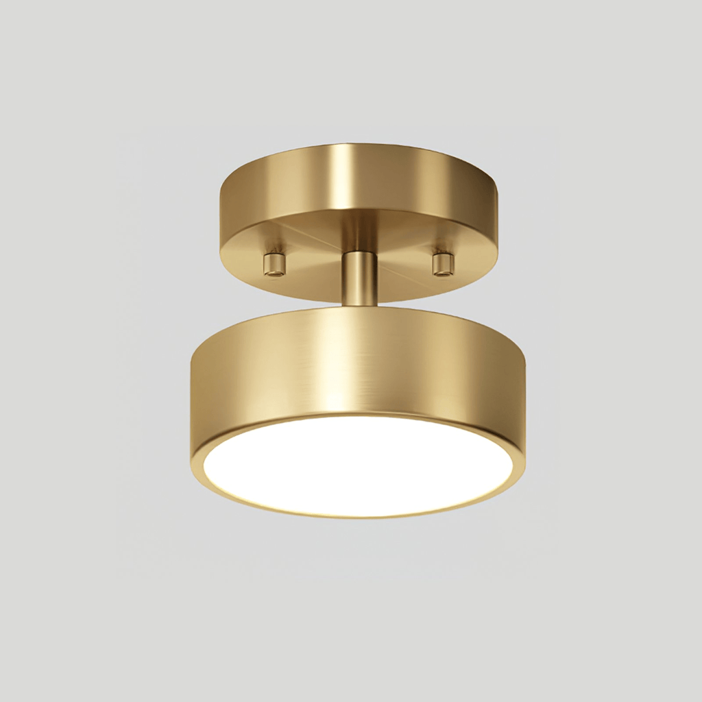 meridian-rotatable-led-ceiling-light-anzaz--21