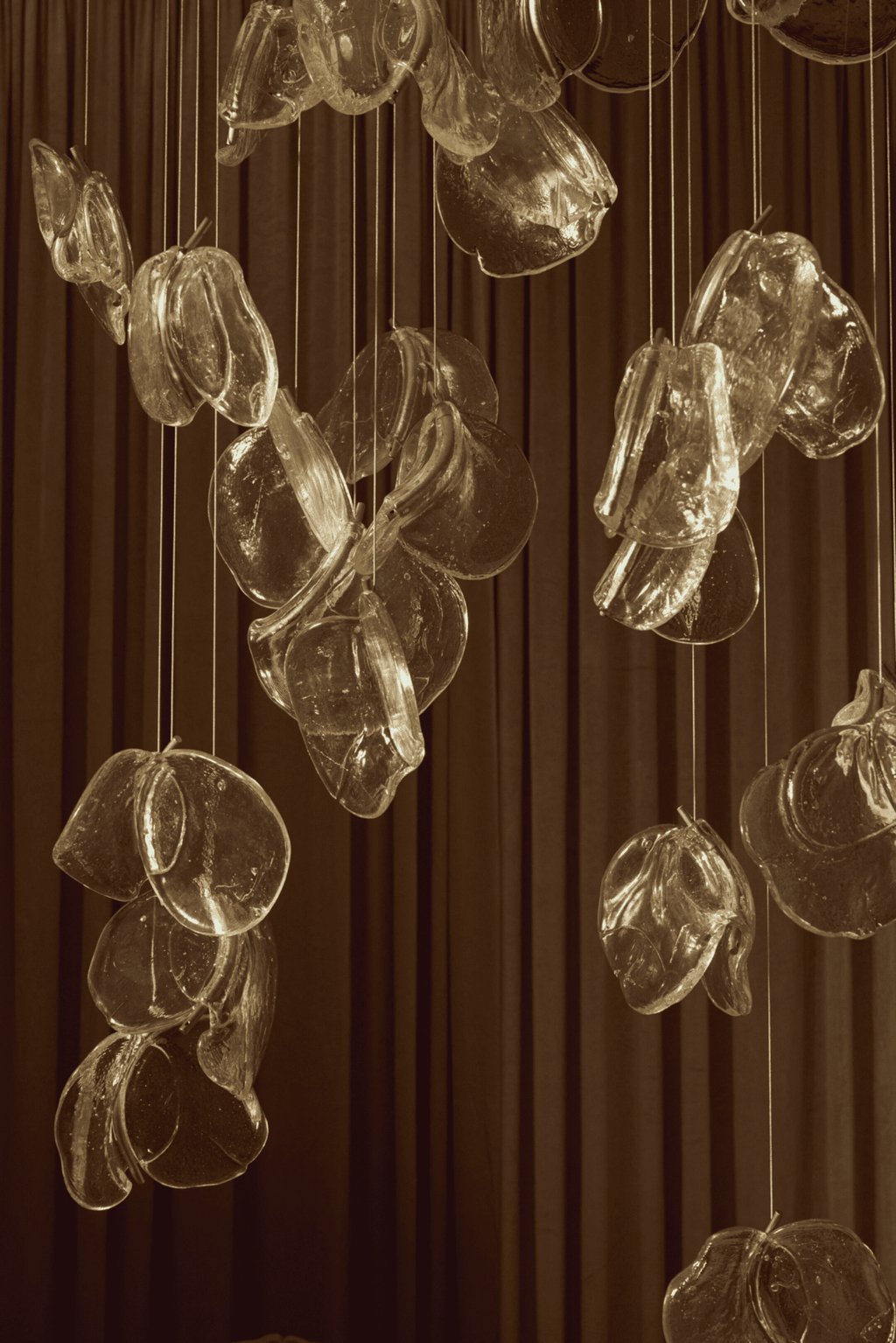 luminous-glass-petals-pendant-lamp-anzaz-Clear-6