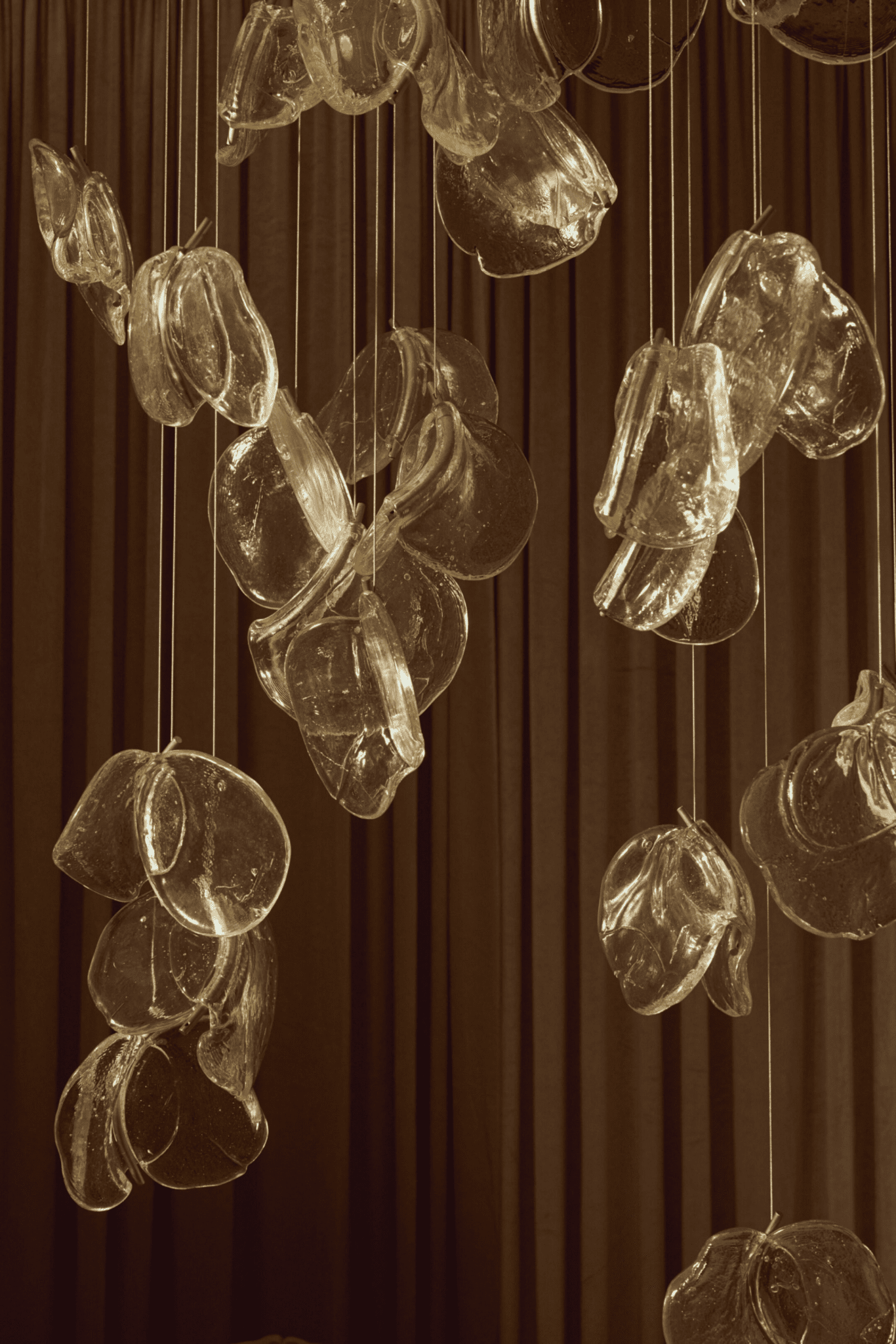 luminous-glass-petals-pendant-lamp-anzaz-Clear-6