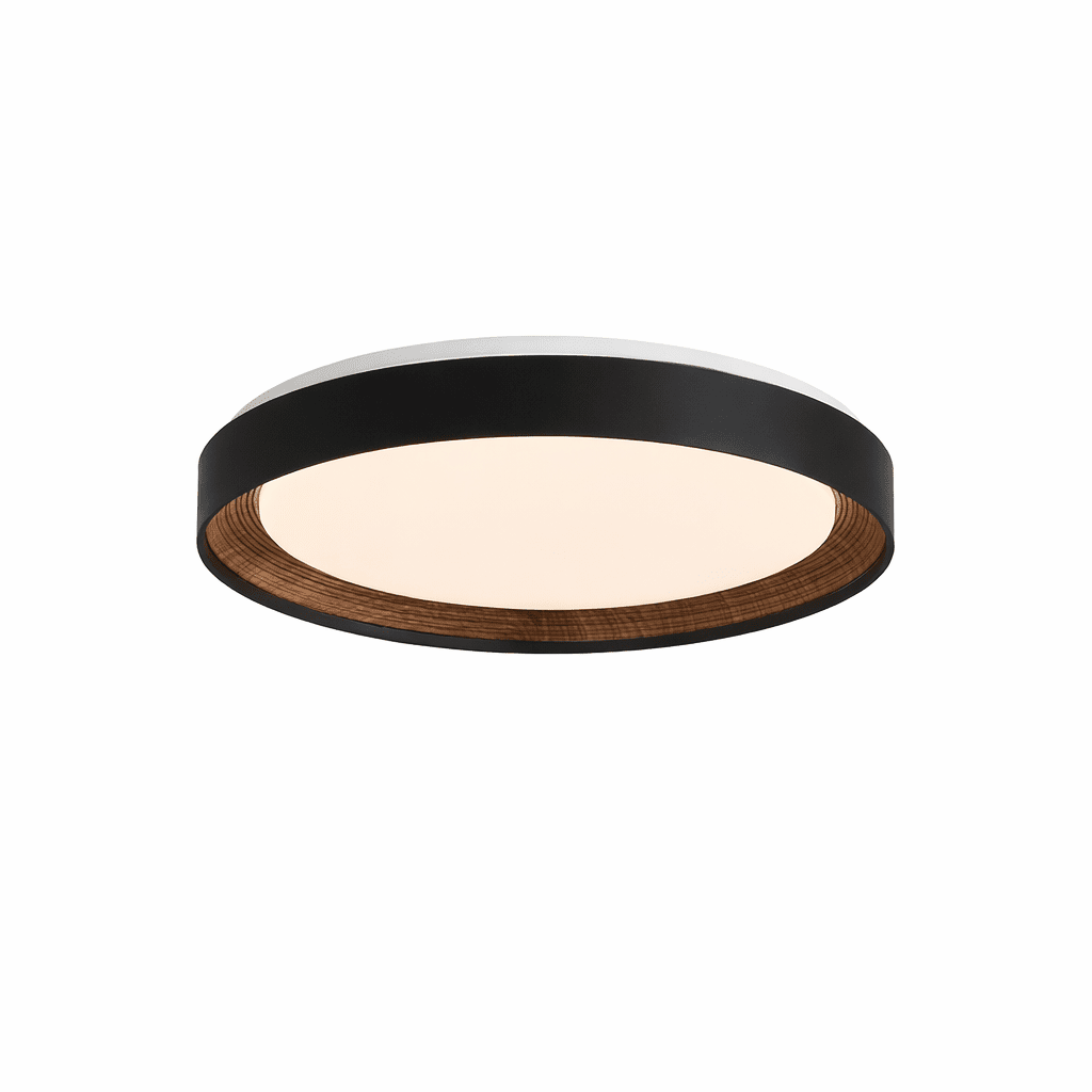 arco-acrylic-ceiling-light-anzaz--6