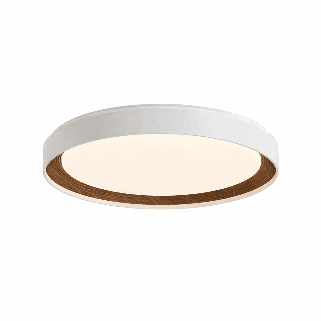 arco-acrylic-ceiling-light-anzaz--8