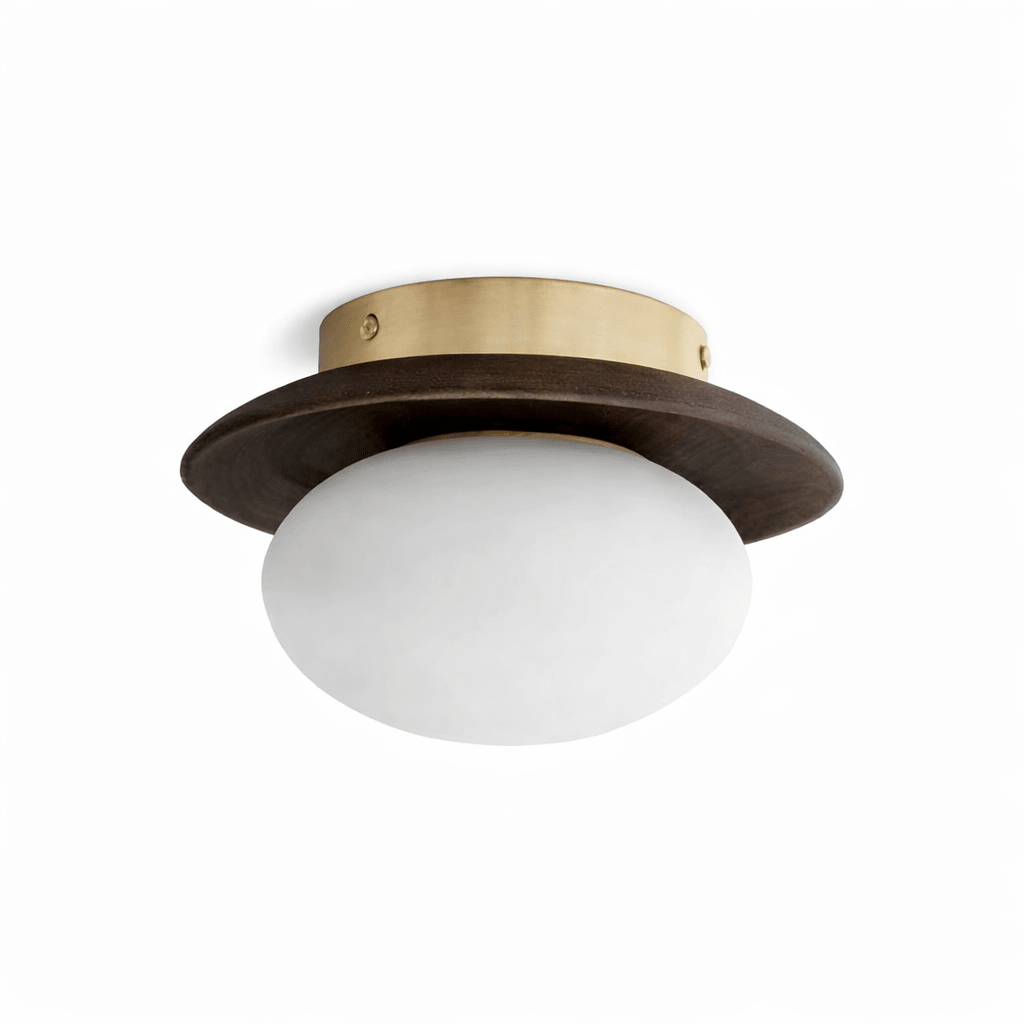 brio-dome-ceiling-light-anzaz--7