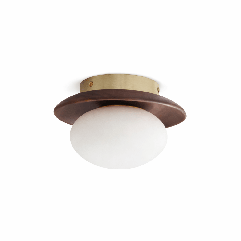 brio-dome-ceiling-light-anzaz--9