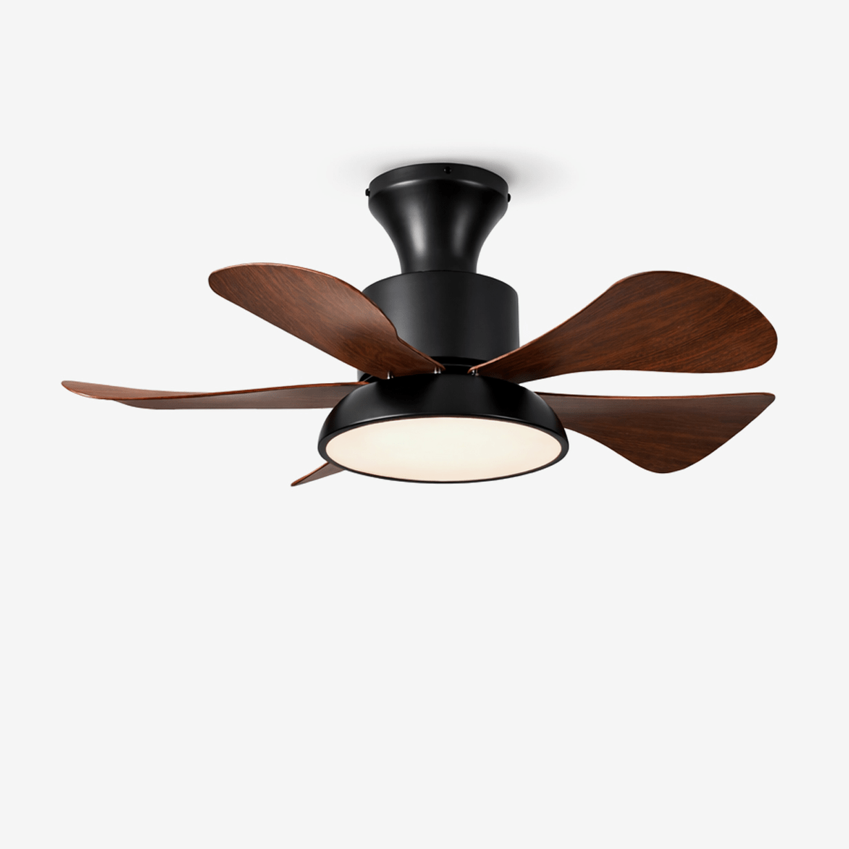 velmora-ceiling-fan-light-anzaz-Walnut Color & Black-1