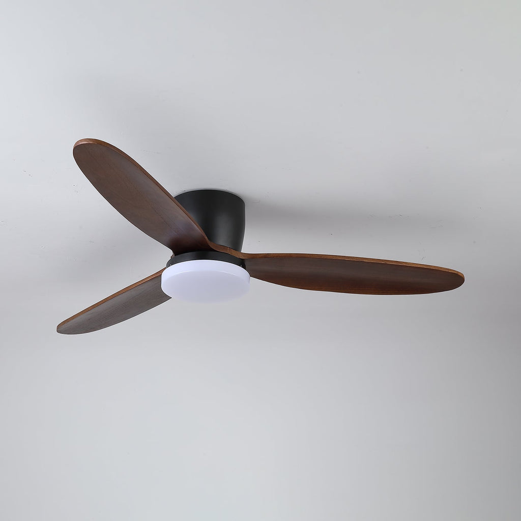 nocturnus-ceiling-fan-light-anzaz--8