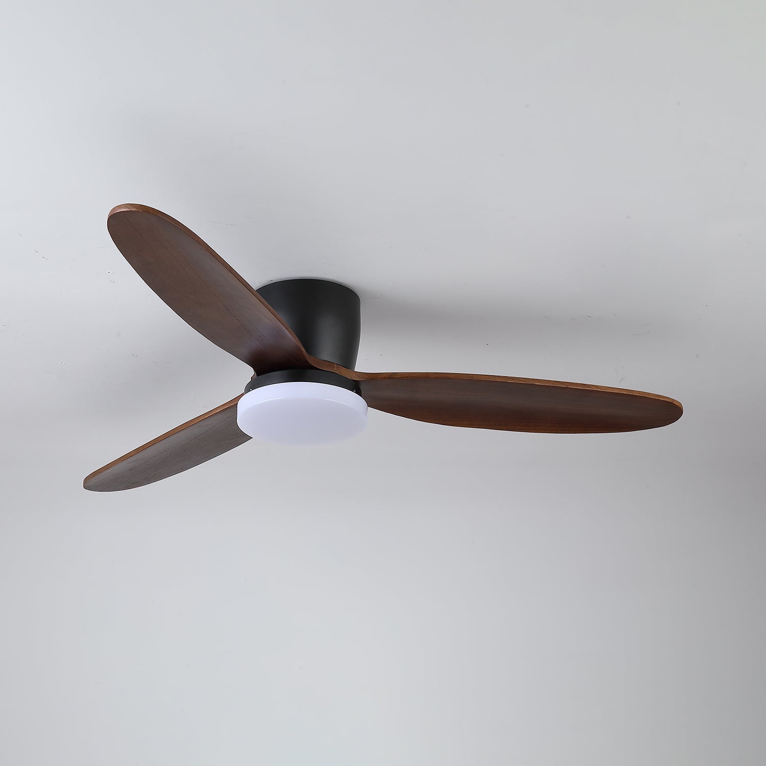 nocturnus-ceiling-fan-light-anzaz--8