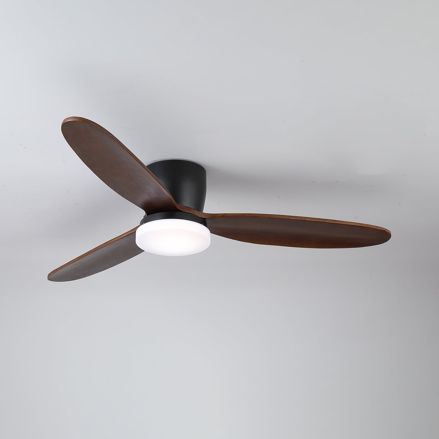 nocturnus-ceiling-fan-light-anzaz--9
