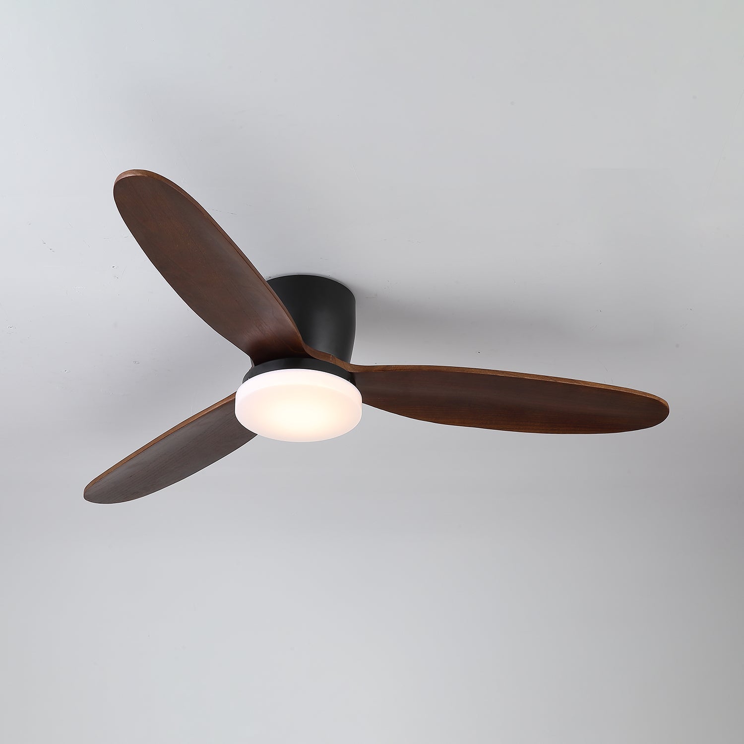 nocturnus-ceiling-fan-light-anzaz--10
