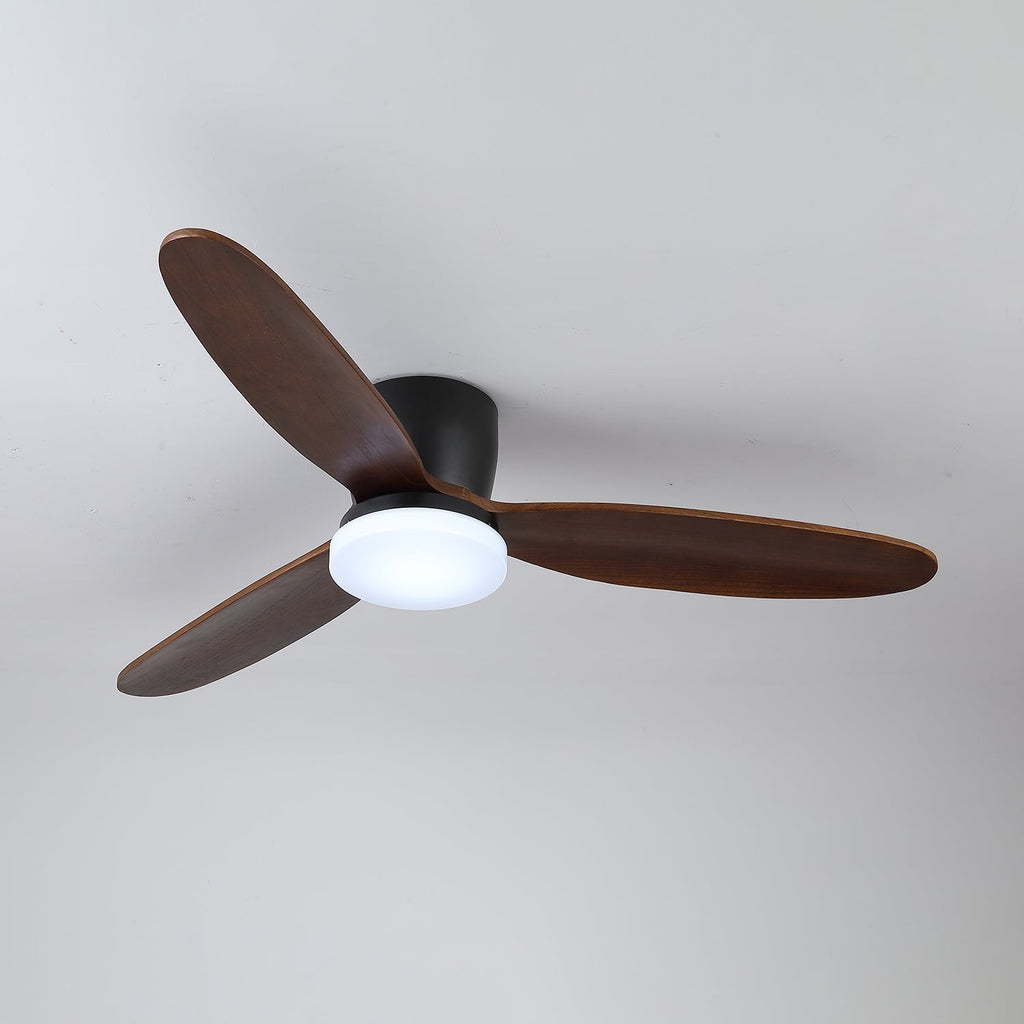 nocturnus-ceiling-fan-light-anzaz--11