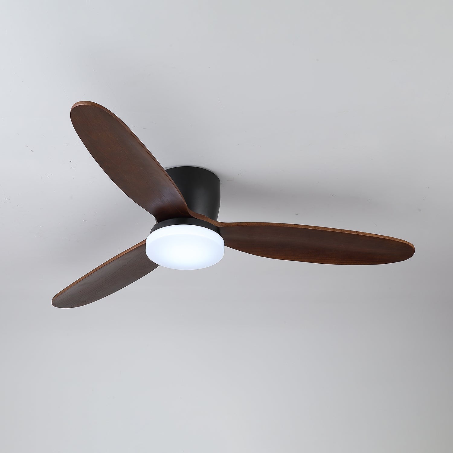 nocturnus-ceiling-fan-light-anzaz--11
