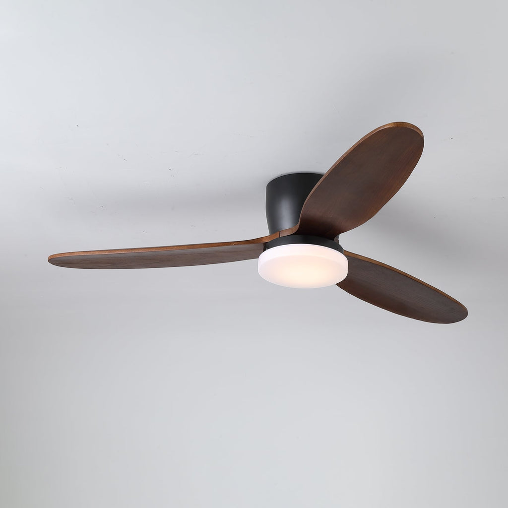nocturnus-ceiling-fan-light-anzaz--12