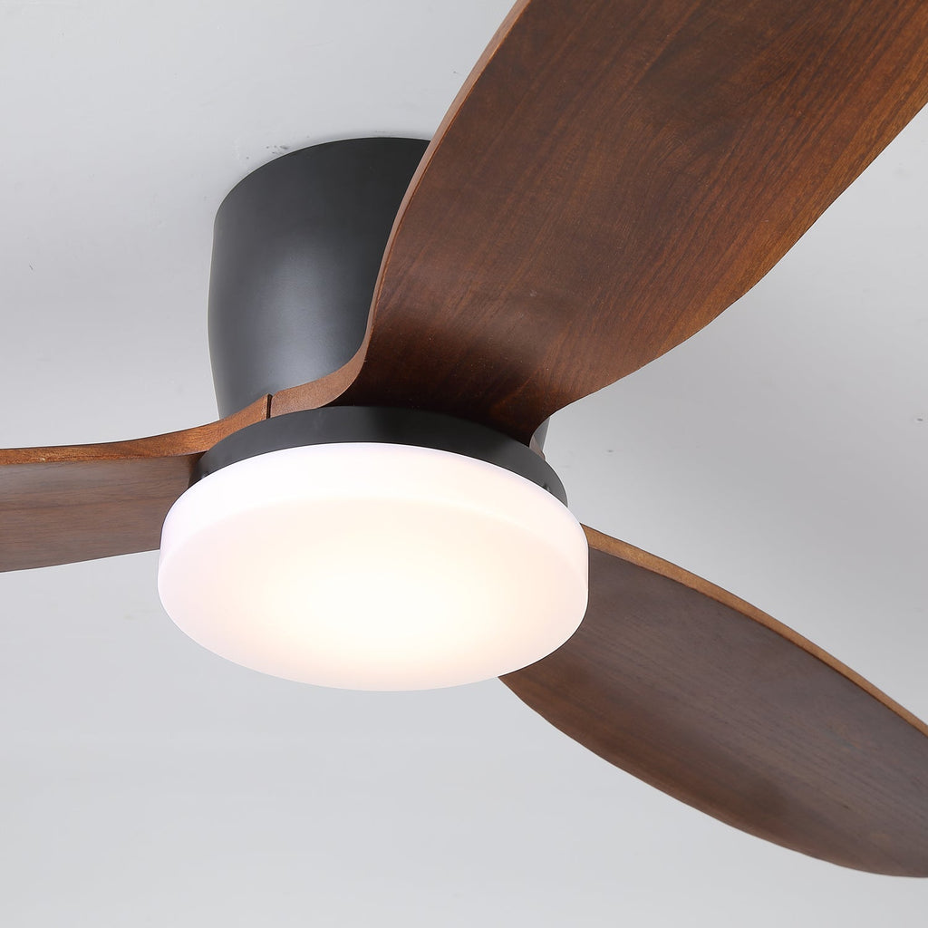nocturnus-ceiling-fan-light-anzaz--13