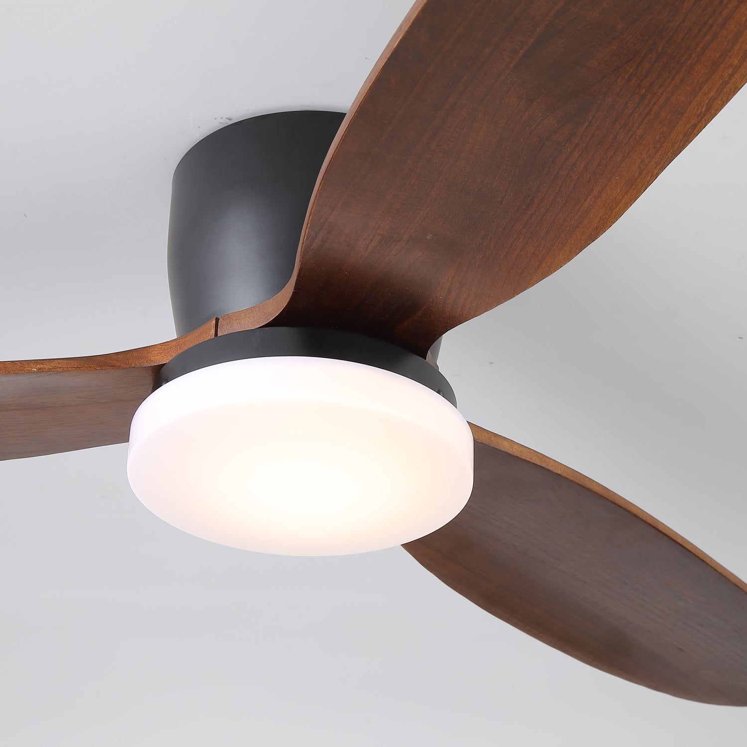 nocturnus-ceiling-fan-light-anzaz--13