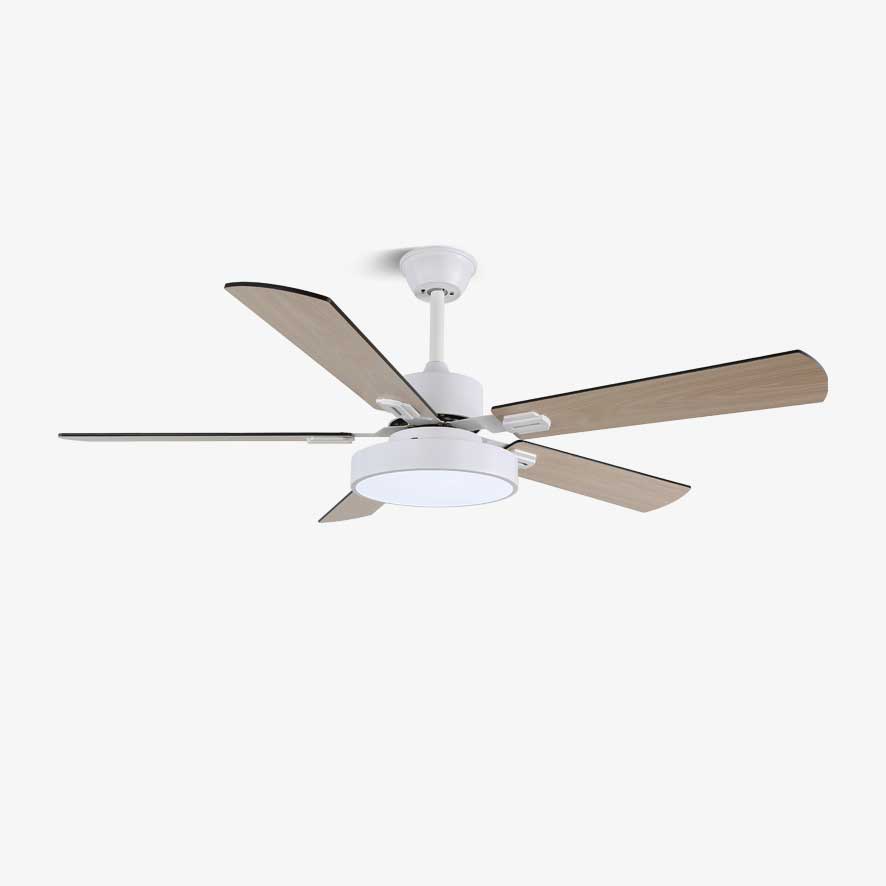zephyris-ceiling-fan-light-anzaz-Dual Color Temperature-1