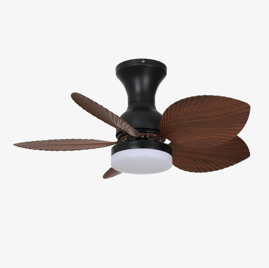 floriva-blossom-ceiling-fan-anzaz--7