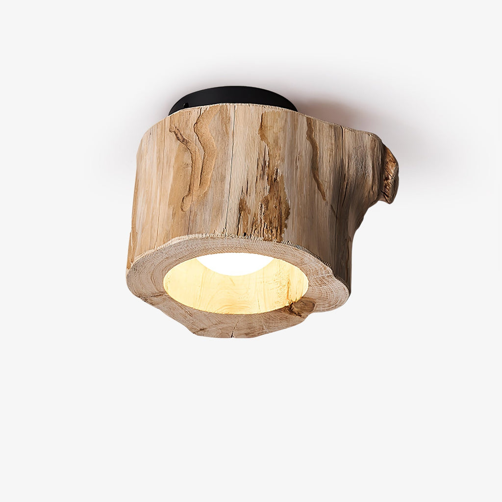 tarn-hollow-ceiing-lamp-anzaz-Wood Color-1