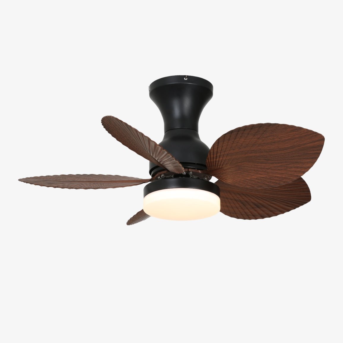 floriva-blossom-ceiling-fan-anzaz--8