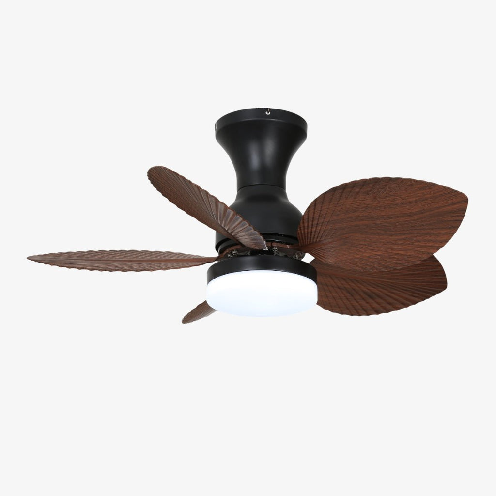 floriva-blossom-ceiling-fan-anzaz--6