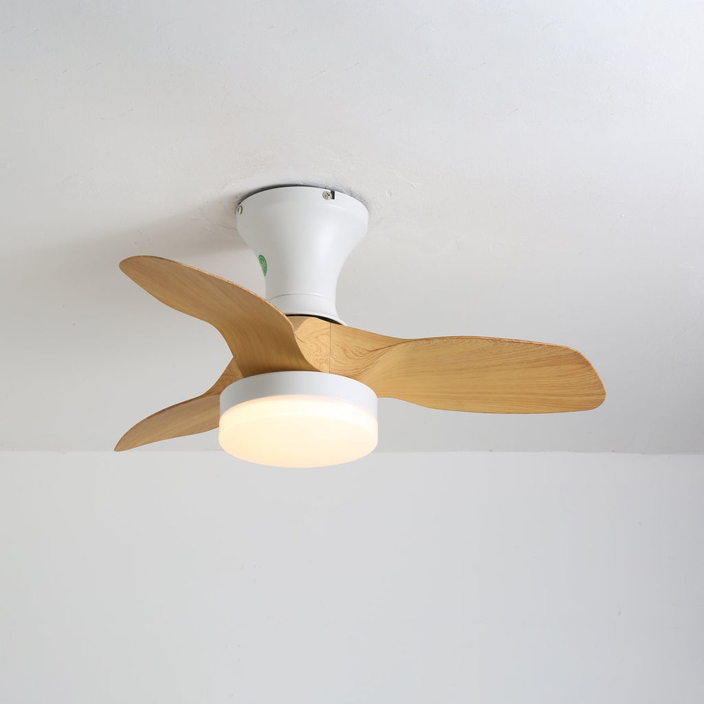 brisa-ceiling-fan-light-anzaz-Three-color Changing Light-3