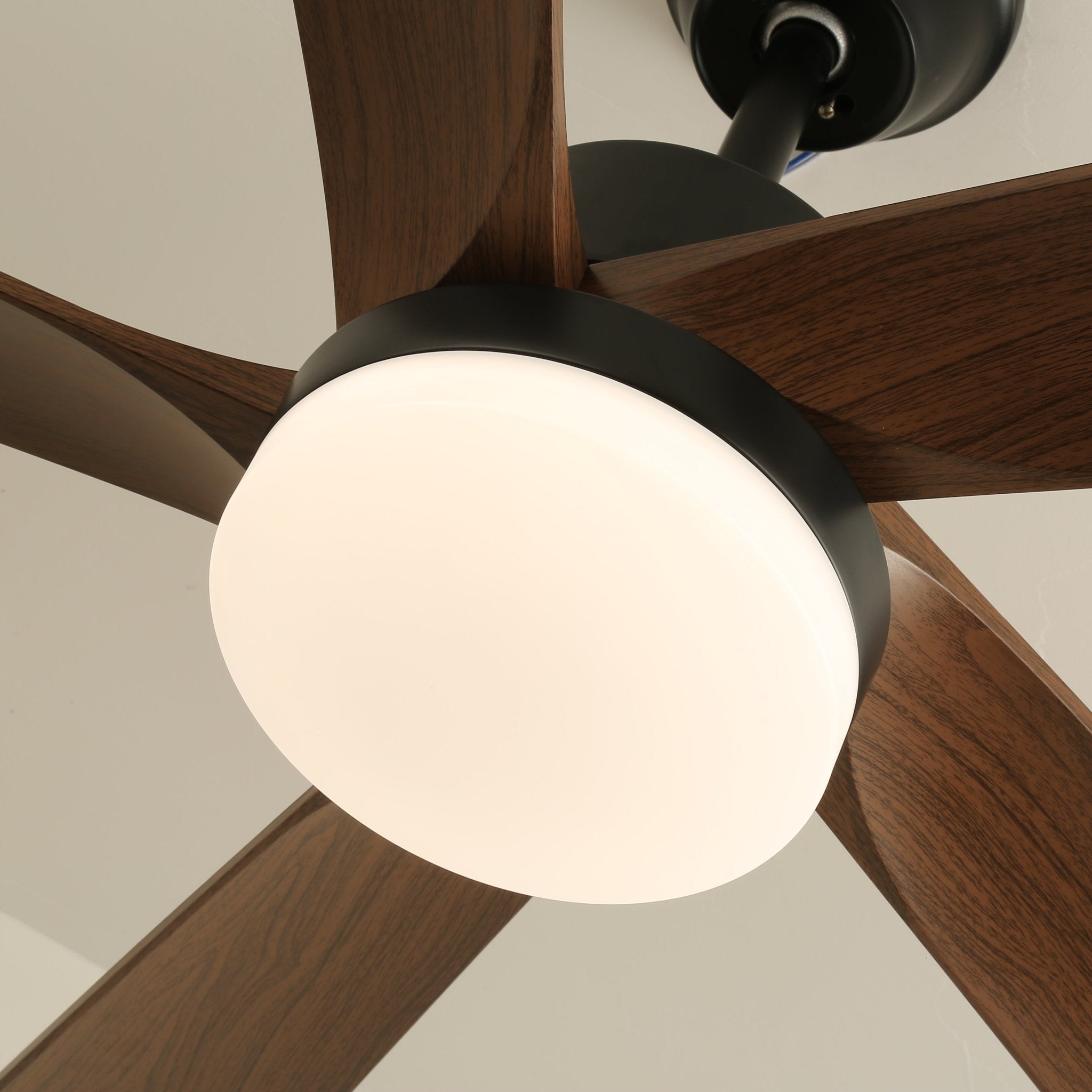 auralin-breeze-ceiling-fan-light-anzaz--9