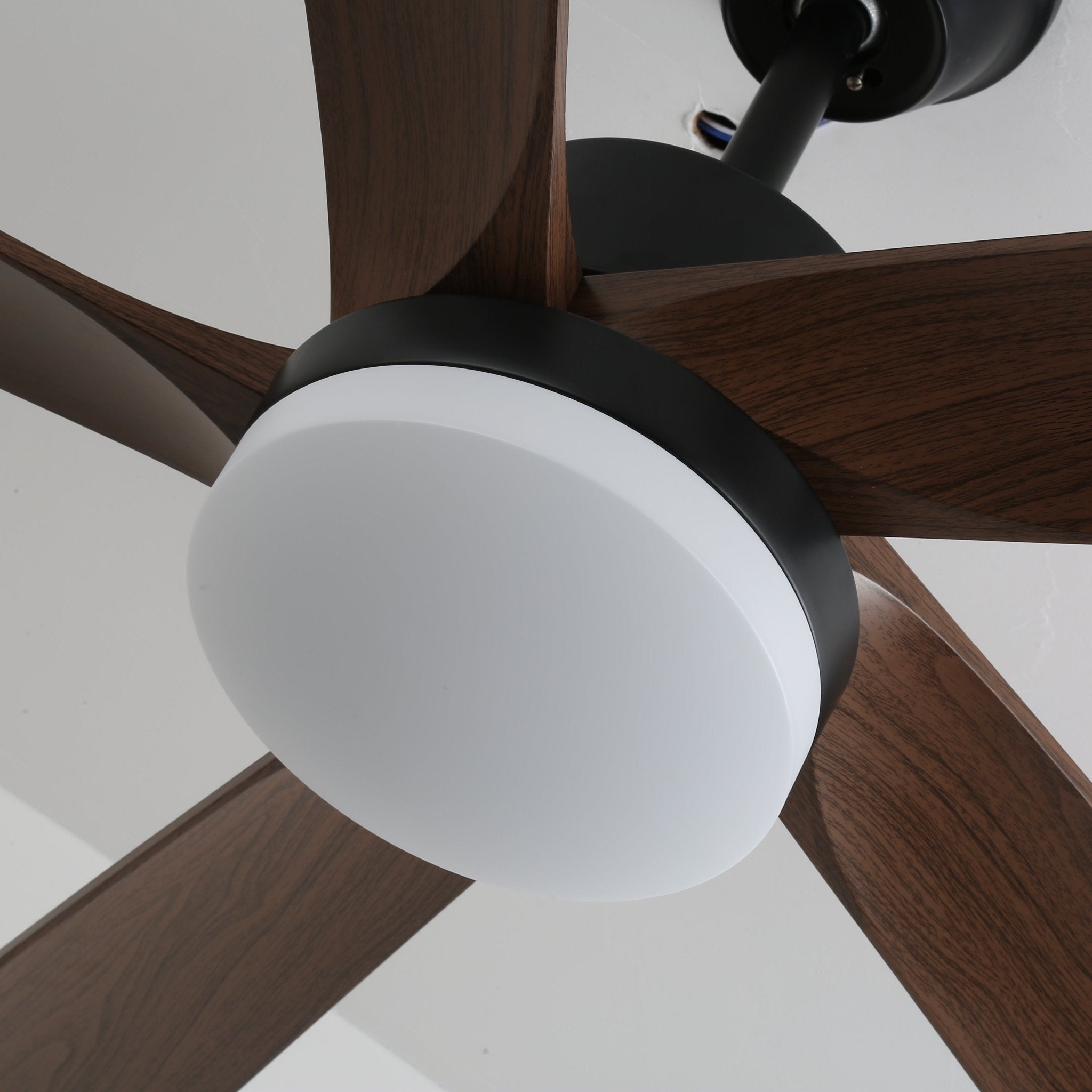 auralin-breeze-ceiling-fan-light-anzaz--10