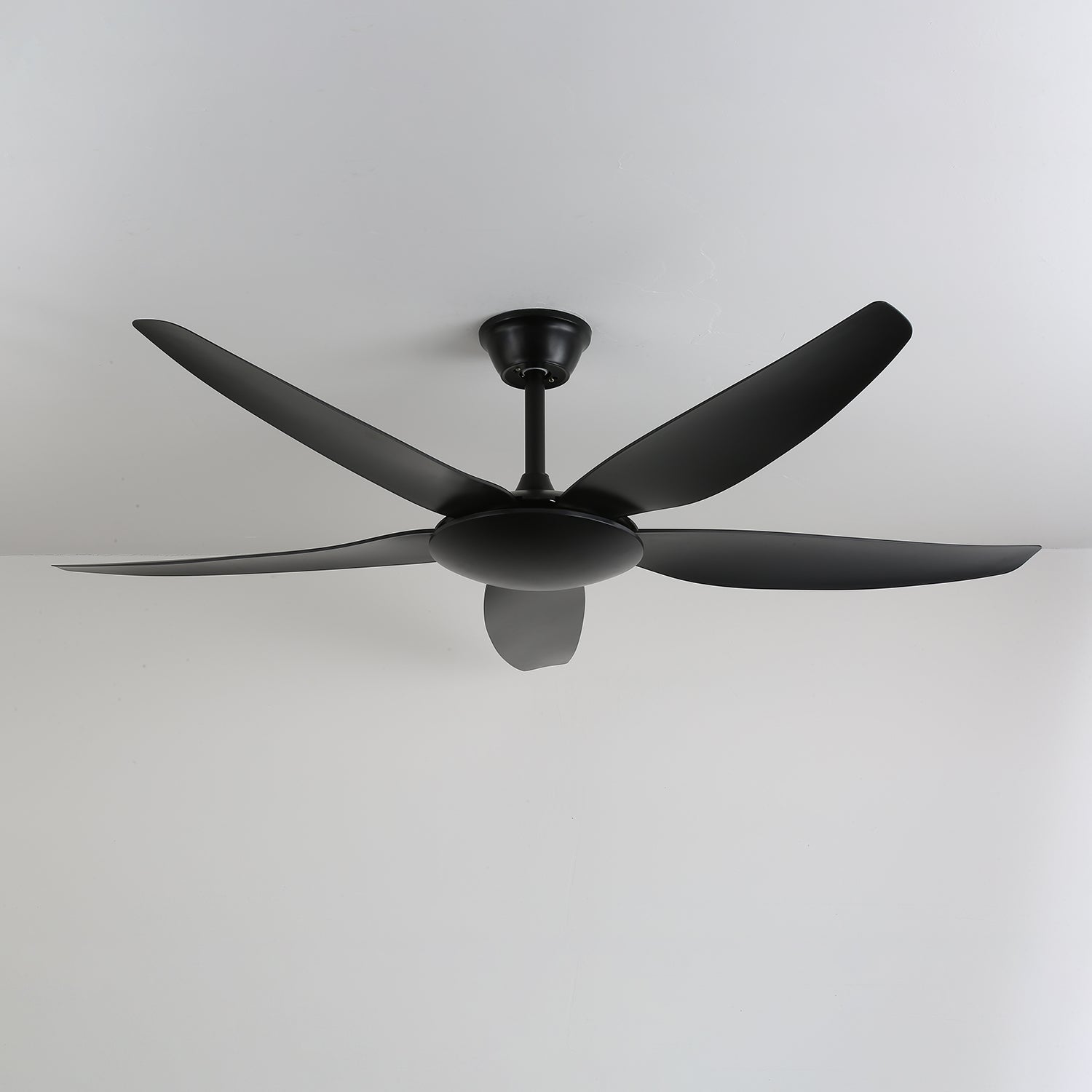 aeron-noir-ceiling-fan-anzaz--2