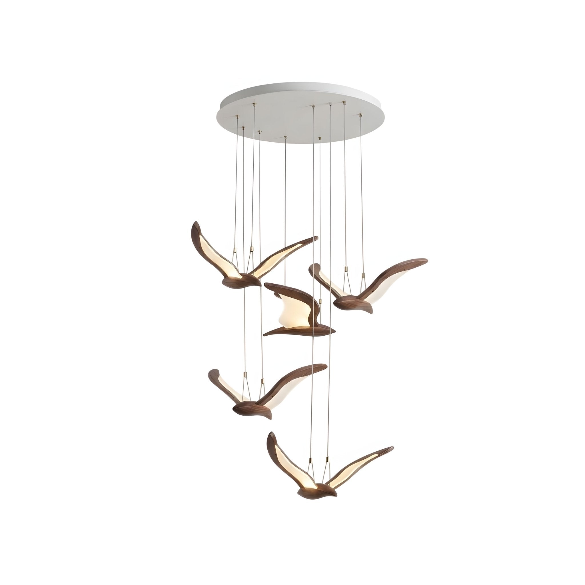 warbler-chandelier-anzaz--61