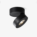 lyric-adjustable-surface-downlight-anzaz-Black-1
