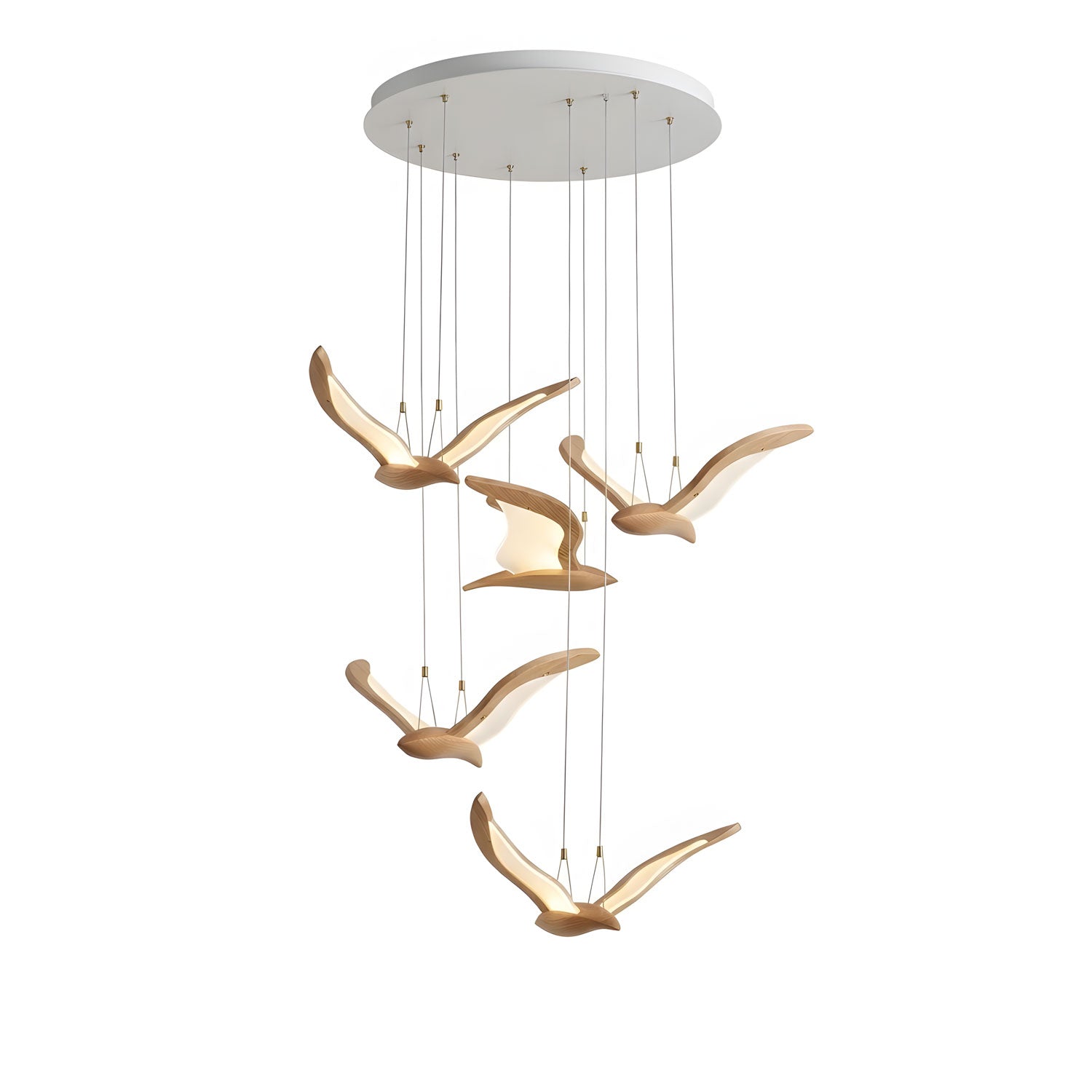 warbler-chandelier-anzaz--58