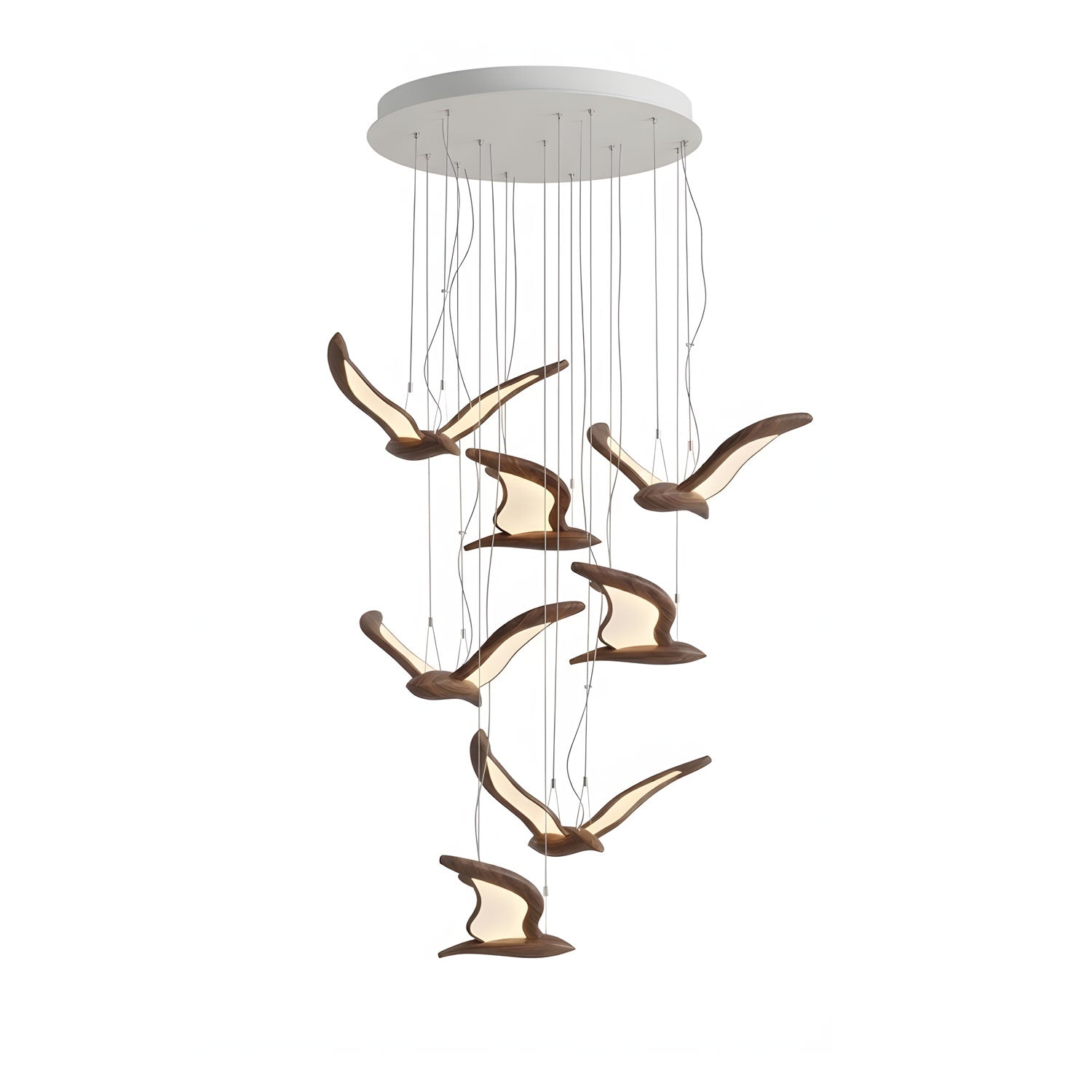 warbler-chandelier-anzaz--62