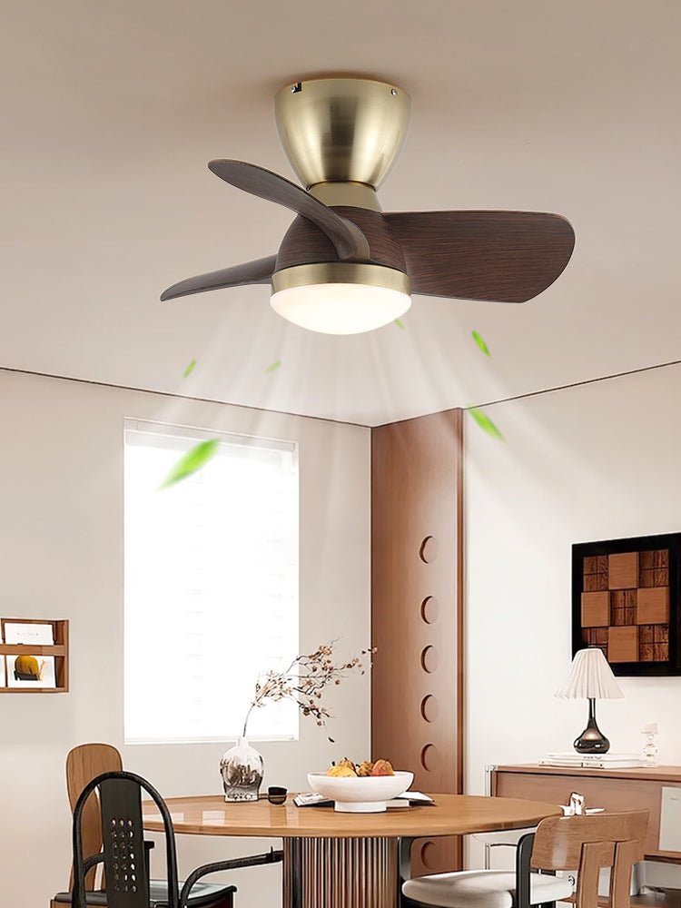 velis-ceiling-fan-light-anzaz--4