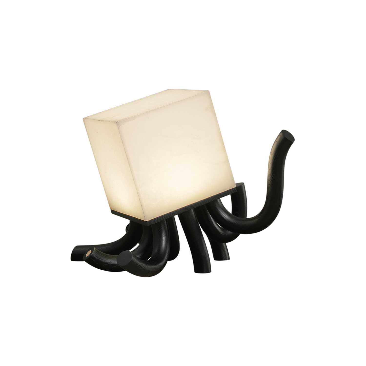 octavia-table-lamp-anzaz-Walnut Color & White-17