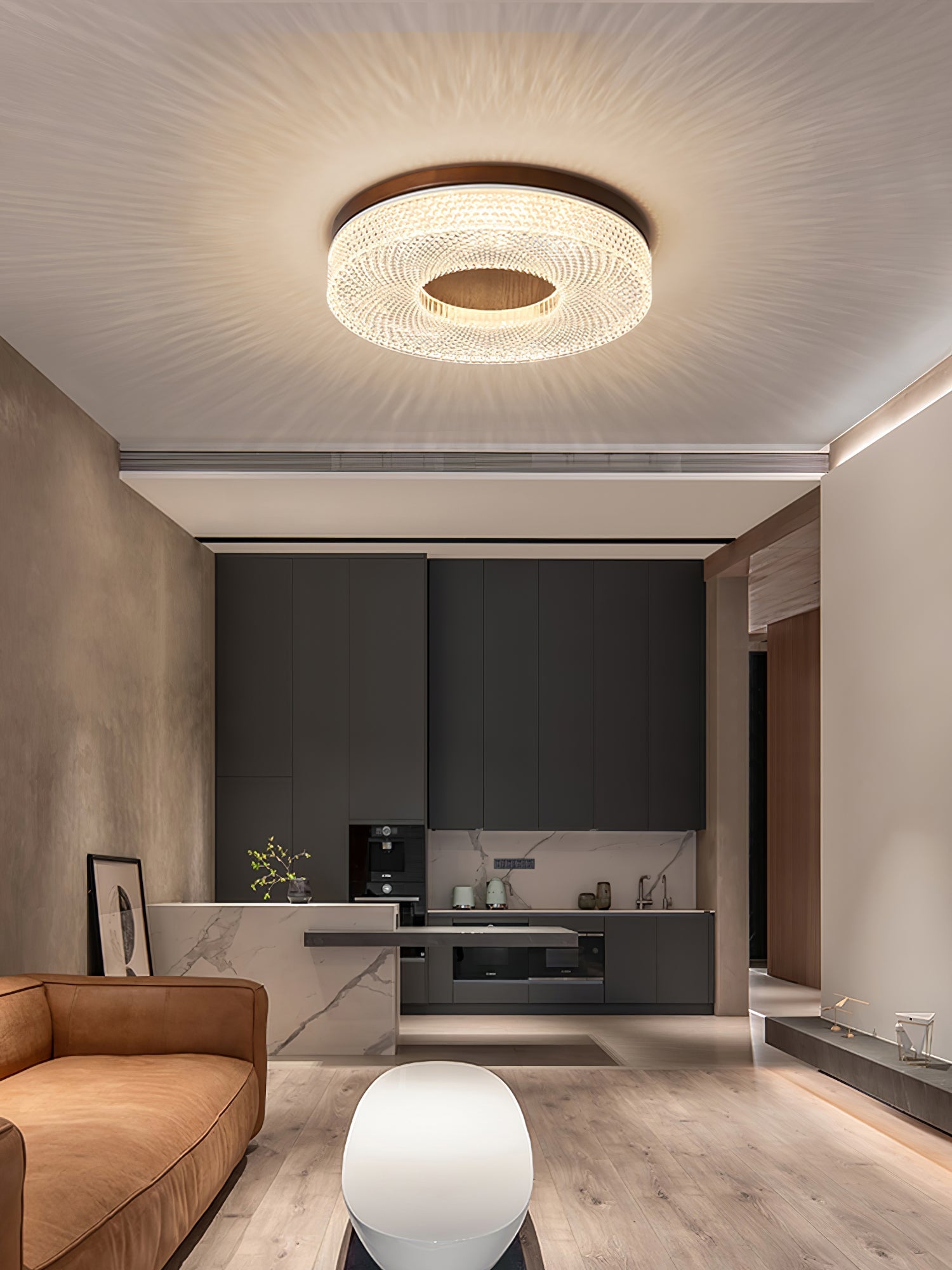 acrylic-halo-round-ceiling-light-anzaz--14