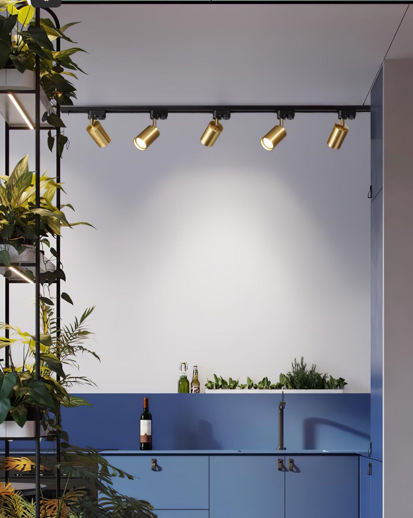 adjustable-spotlight-track-ceiling-light-anzaz--18