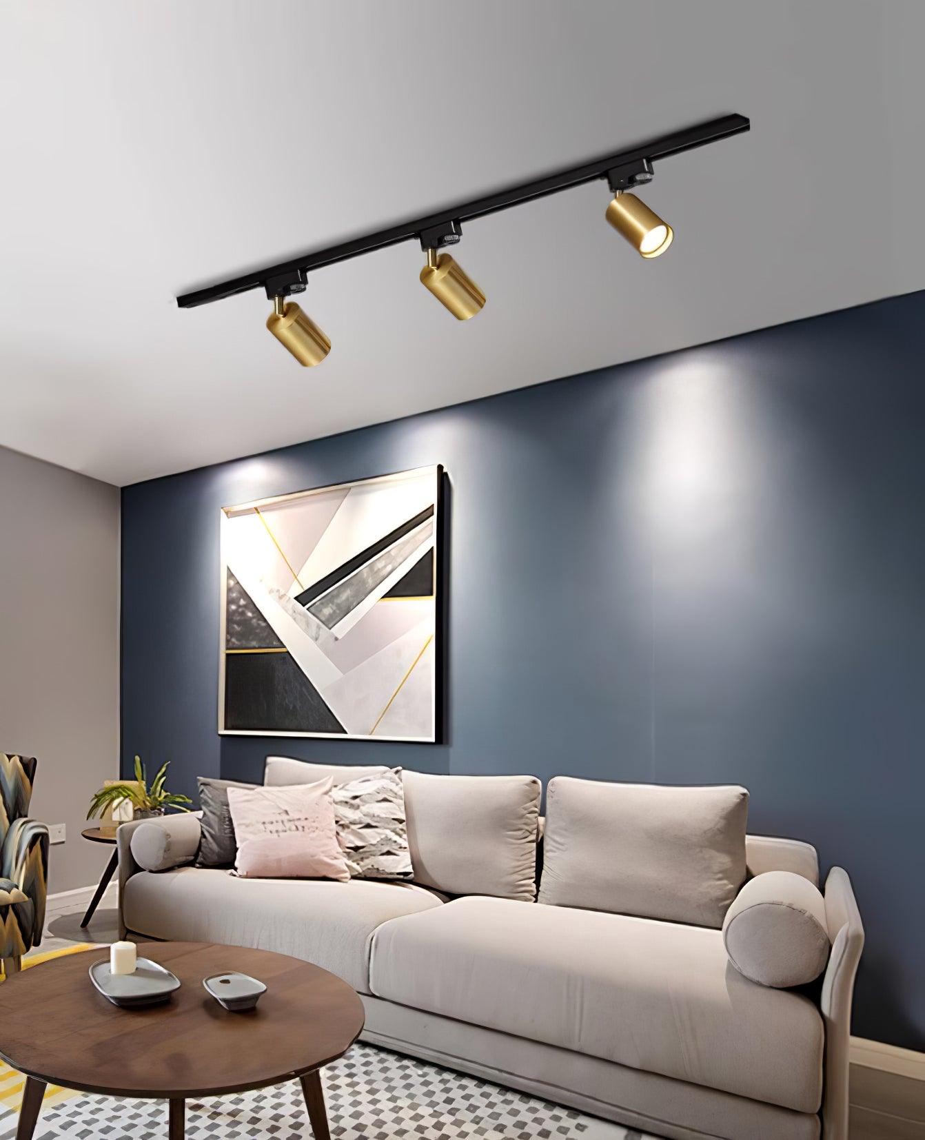 adjustable-spotlight-track-ceiling-light-anzaz--20