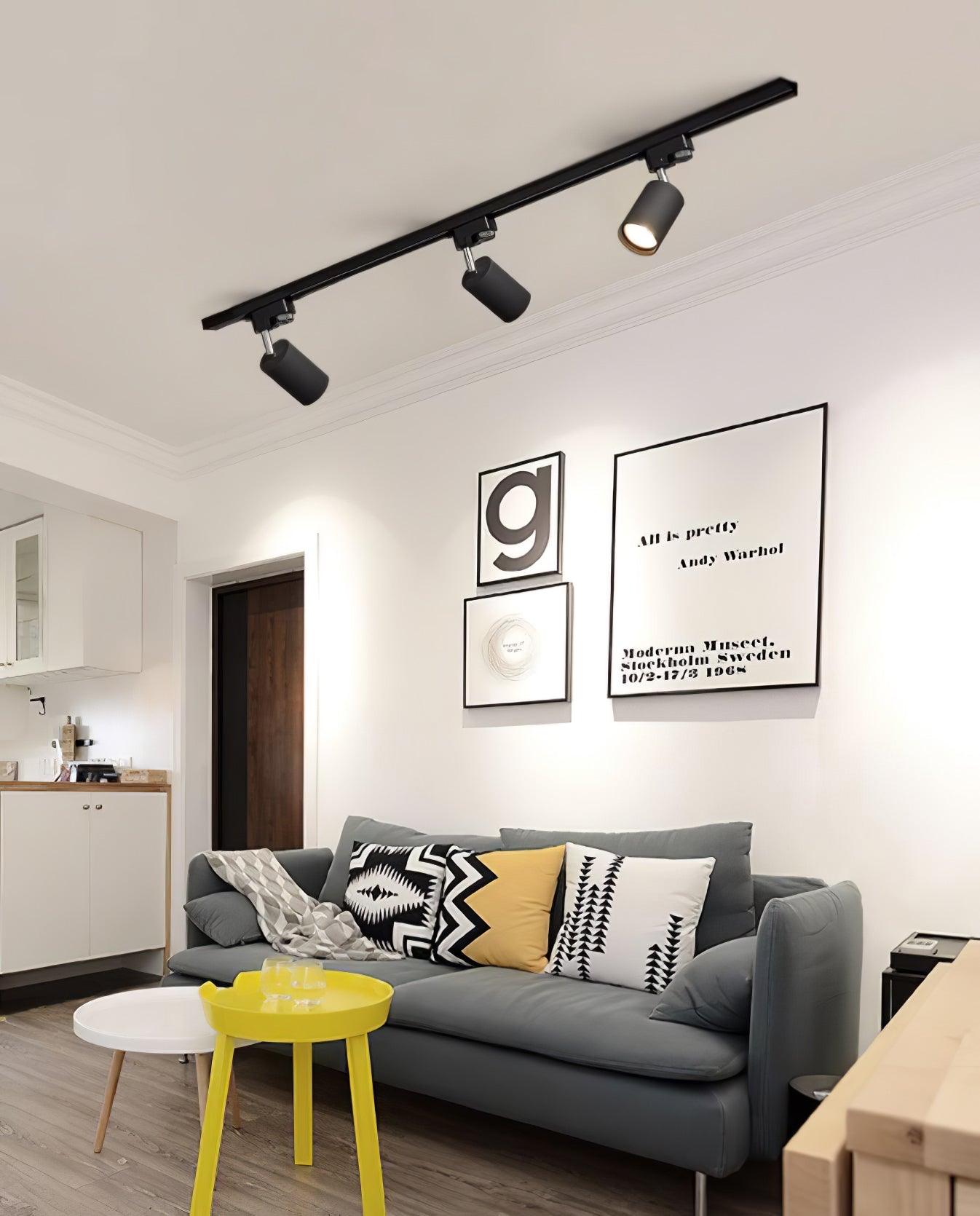 adjustable-spotlight-track-ceiling-light-anzaz--21