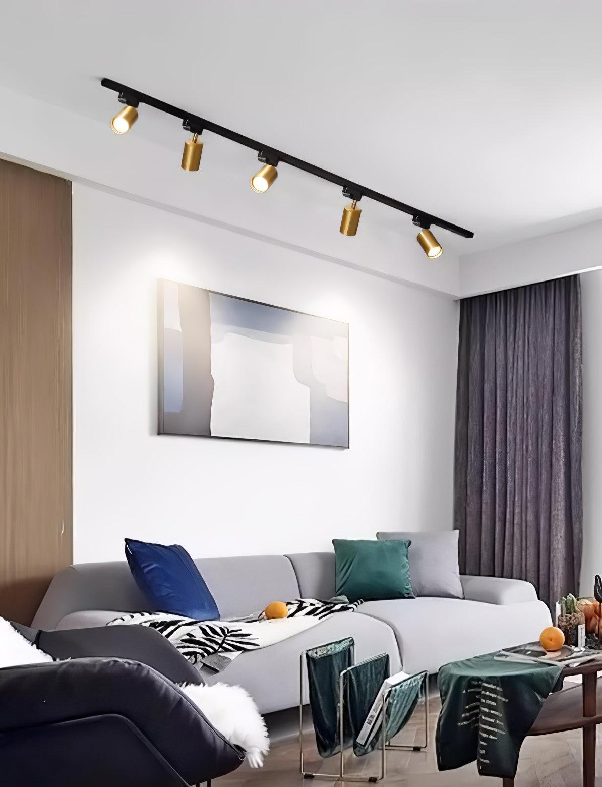 adjustable-spotlight-track-ceiling-light-anzaz--22