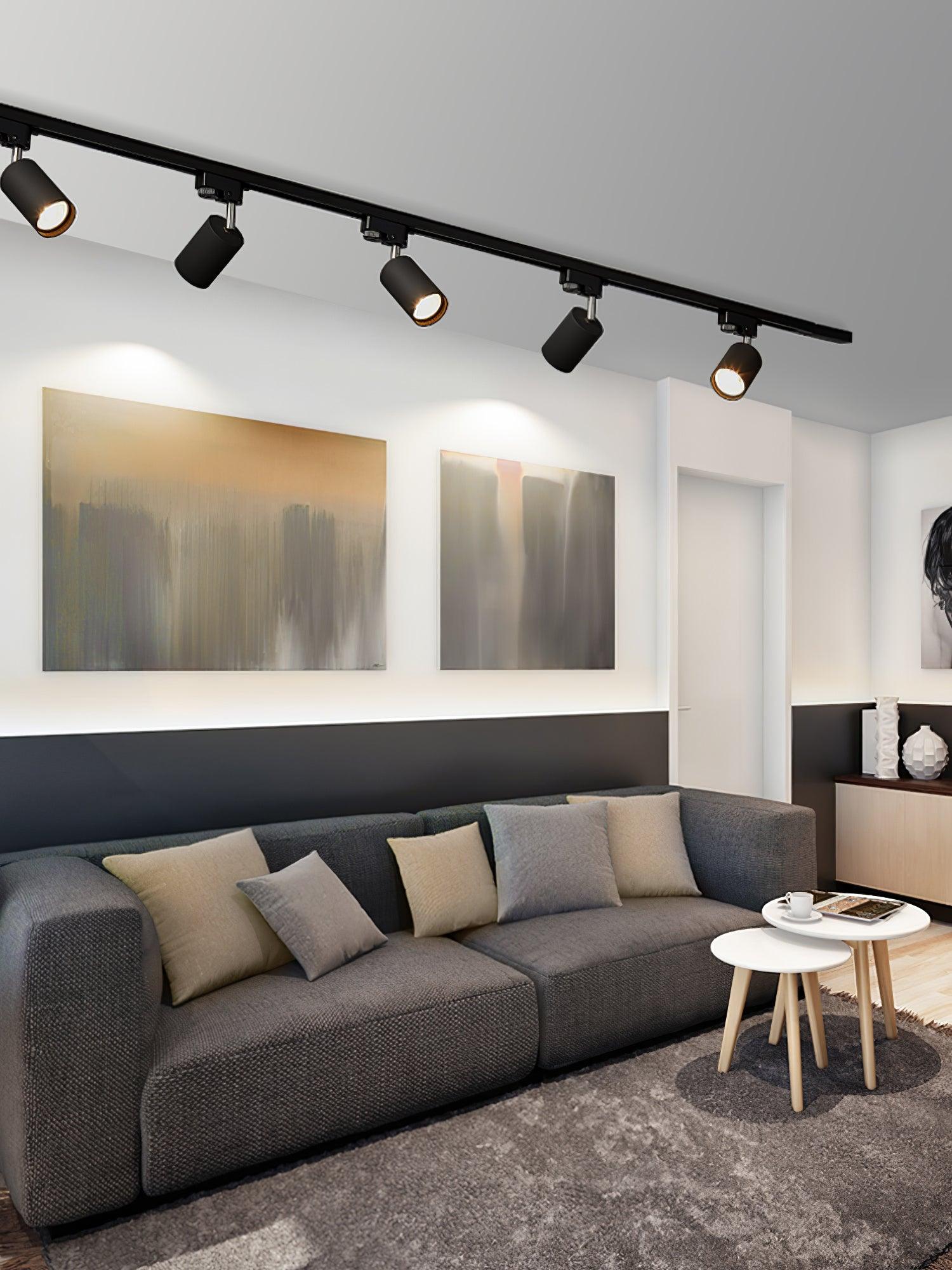 adjustable-spotlight-track-ceiling-light-anzaz--33