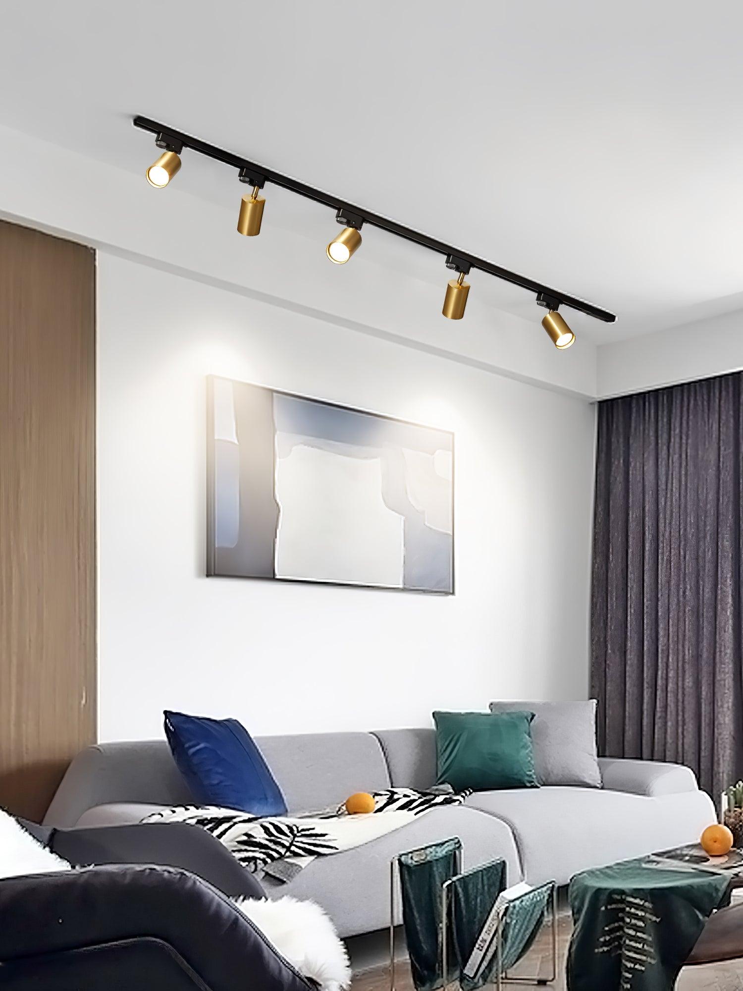 adjustable-spotlight-track-ceiling-light-anzaz--38