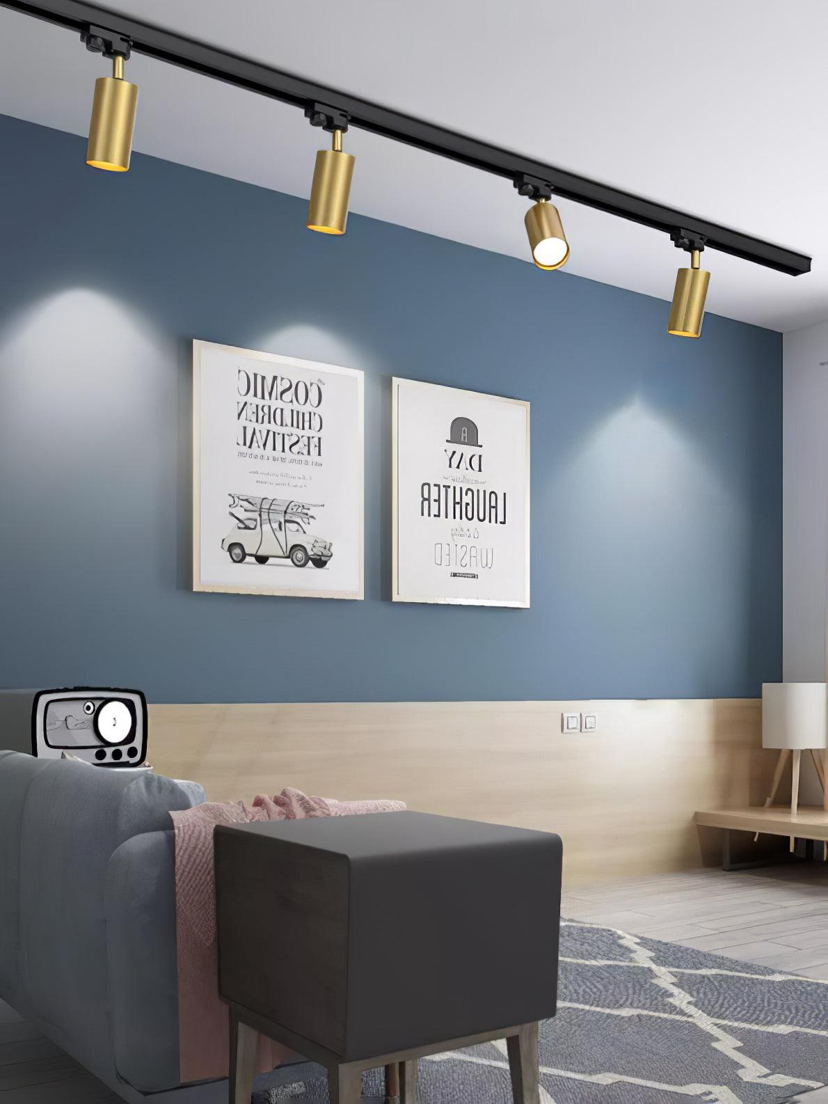 adjustable-spotlight-track-ceiling-light-anzaz--11